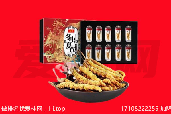 菏泽市回收虫草.jpg